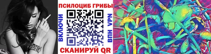 Псилоцибиновые грибы Cubensis Данилов